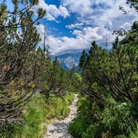 mittenwald trail training 4