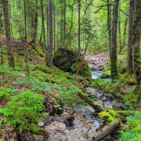 mittenwald trail training 6