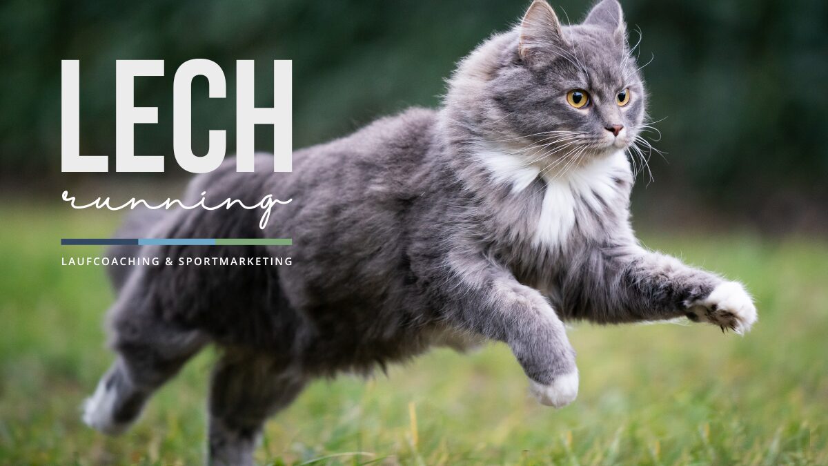 Lechrunning - die Laufschule mit Runningwolf-Zertifizierung