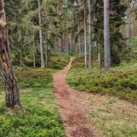 Von Yngsjö nach Simrishamn - 50K Ultratrail 3 imgi 39 50k yngsjoe simrishamn coast6 585x1040.jpg