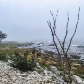 Von Yngsjö nach Simrishamn - 50K Ultratrail 11 imgi 40 50k yngsjoe simrishamn coast1 1024x576.jpg